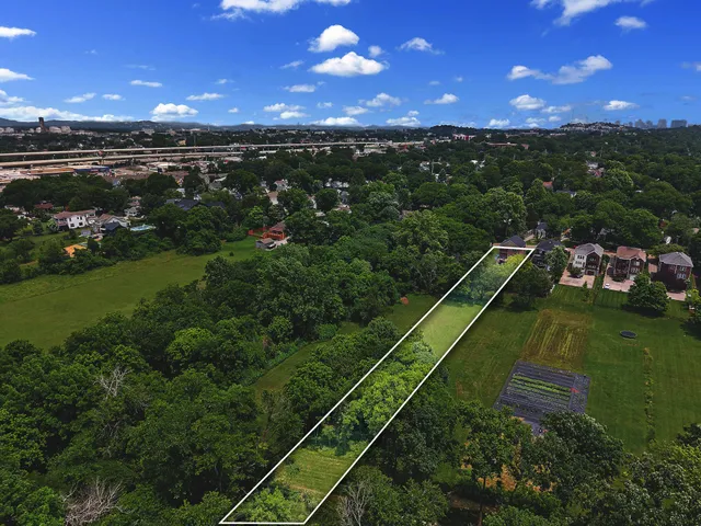 a view of a field with a tree