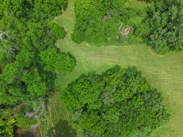 a view of an ocean and beach