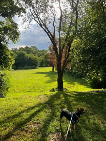 a view of mountain view with lots of trees