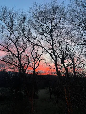 $1,200,000 | 225 54th Avenue North, Nashville, TN 37209