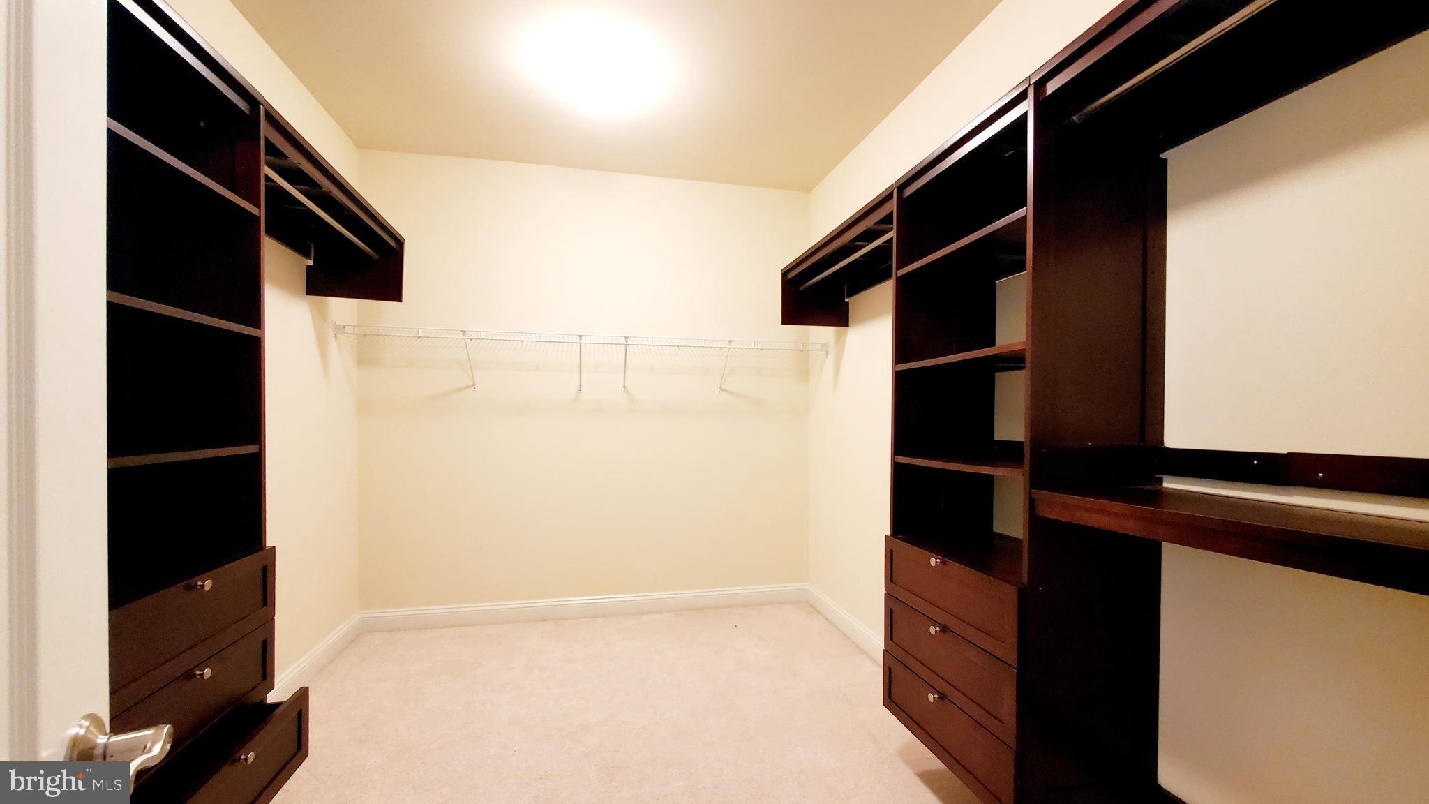 12614 Winter Wren Court Herndon, VA 20171 - Photo 33 of 55 a view of closet