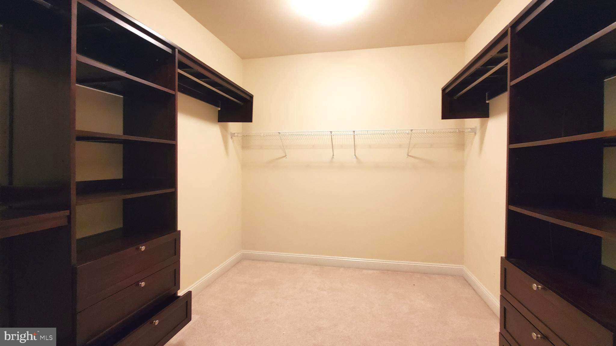 12614 Winter Wren Court Herndon, VA 20171 - Photo 34 of 55 a view of closet