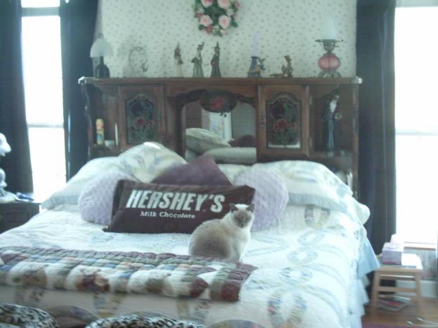 1658 Burroughs Cove Road Altamont, TN 37301 - Photo 8 of 14 Gallery Image 8