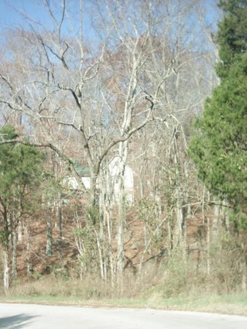 1658 Burroughs Cove Road Altamont, TN 37301 - Photo 10 of 14 Gallery Image 10