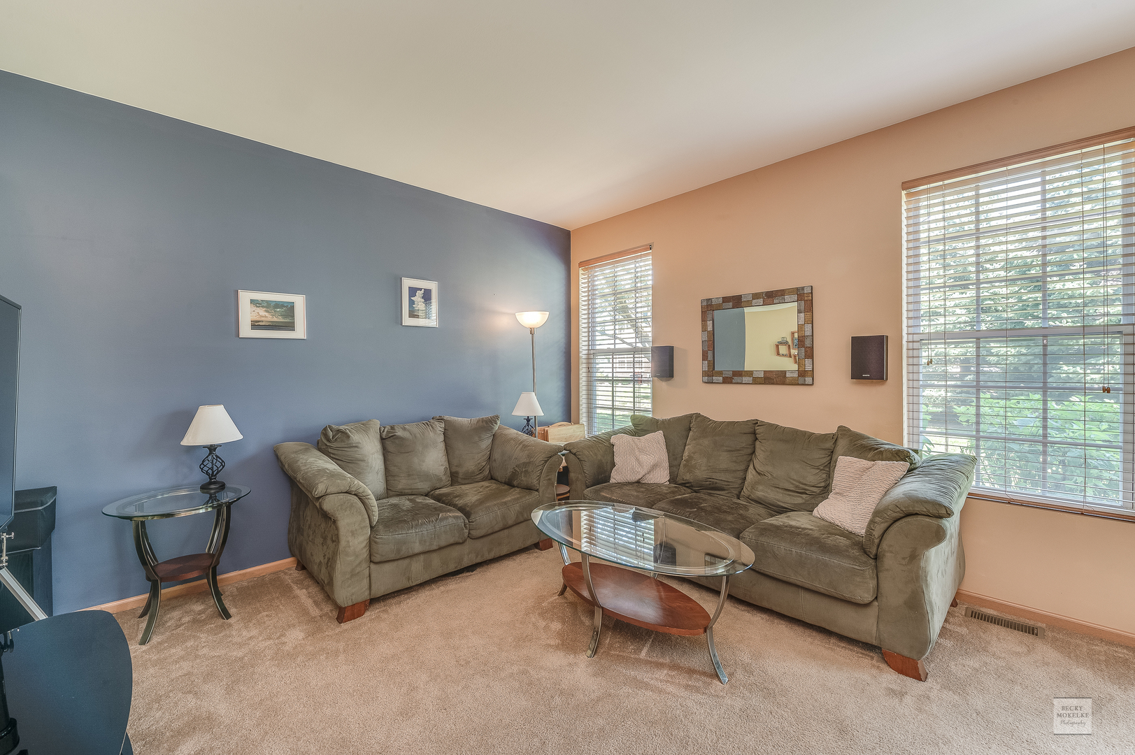 357 Grape Vine Trail Oswego, IL 60543 - Photo 11 of 27 a living room with furniture and a large window