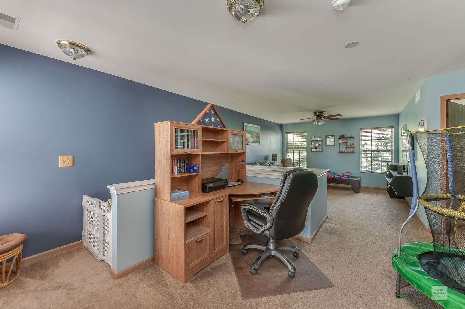 357 Grape Vine Trail Oswego, IL 60543 - Photo 14 of 27 a view of a workspace with furniture and a window