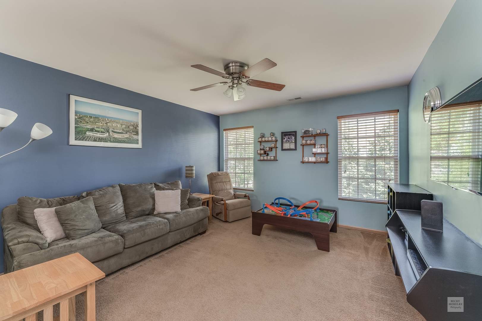 357 Grape Vine Trail Oswego, IL 60543 - Photo 16 of 27 a living room with furniture and a window