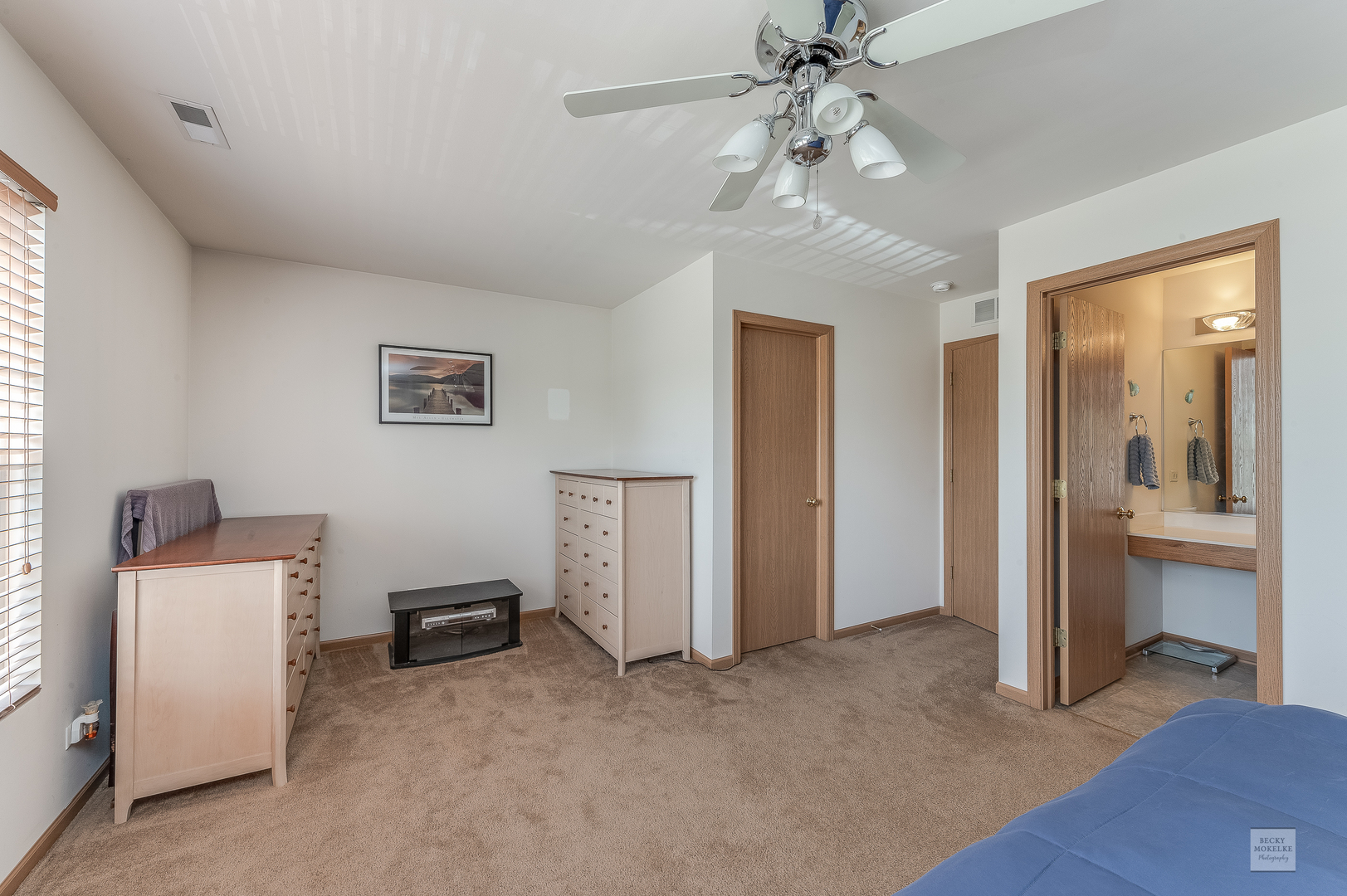 357 Grape Vine Trail Oswego, IL 60543 - Photo 18 of 27 a view of a room with chandelier fan and windows