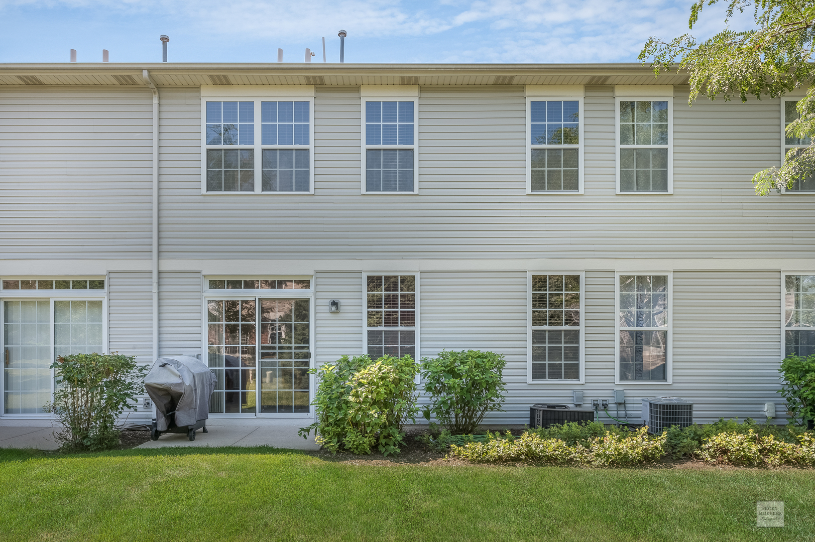 357 Grape Vine Trail Oswego, IL 60543 - Photo 25 of 27 a view of a house with a yard and plants