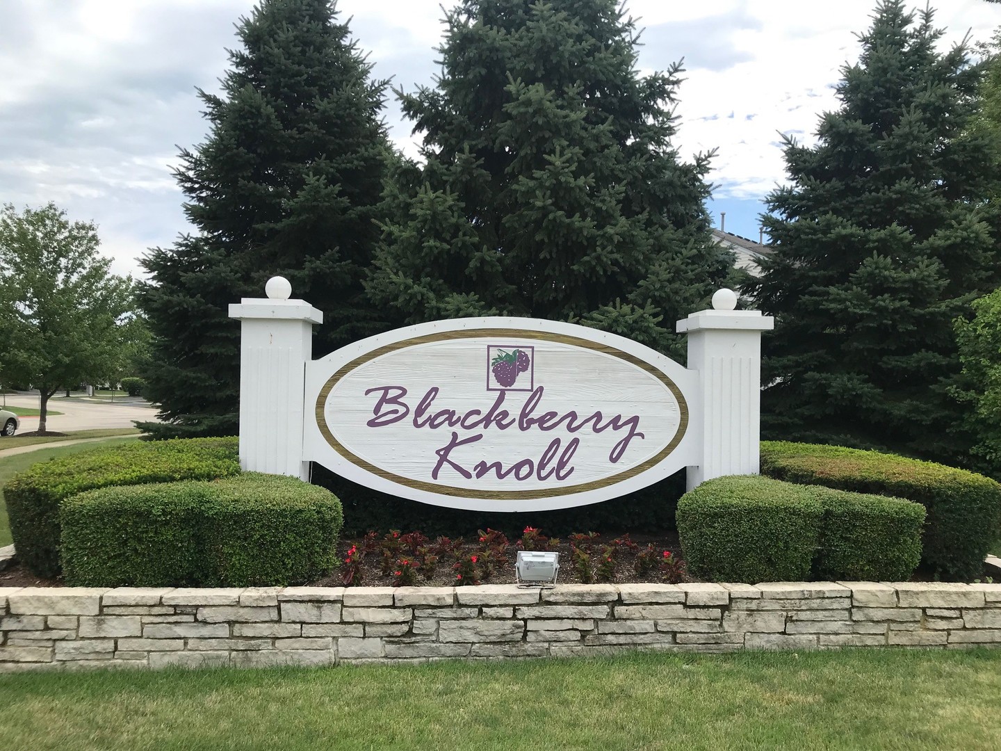 357 Grape Vine Trail Oswego, IL 60543 - Photo 26 of 27 a view of a park with a fountain and a garden