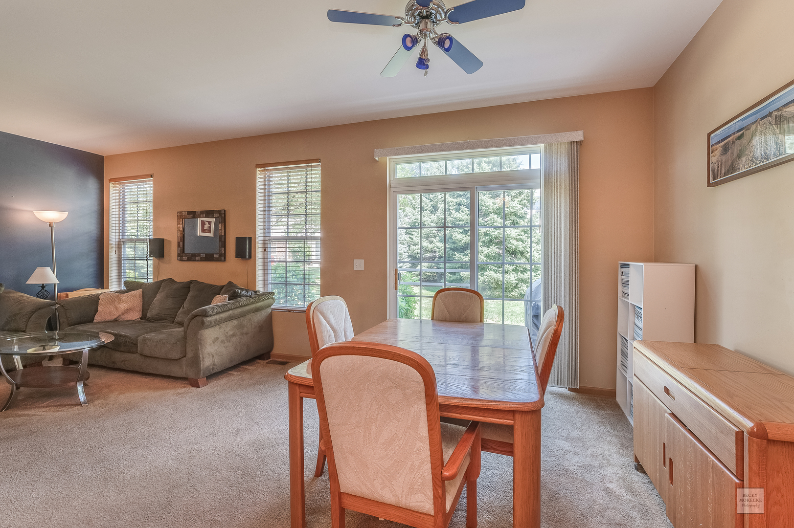 357 Grape Vine Trail Oswego, IL 60543 - Photo 8 of 27 a living room with furniture and a window
