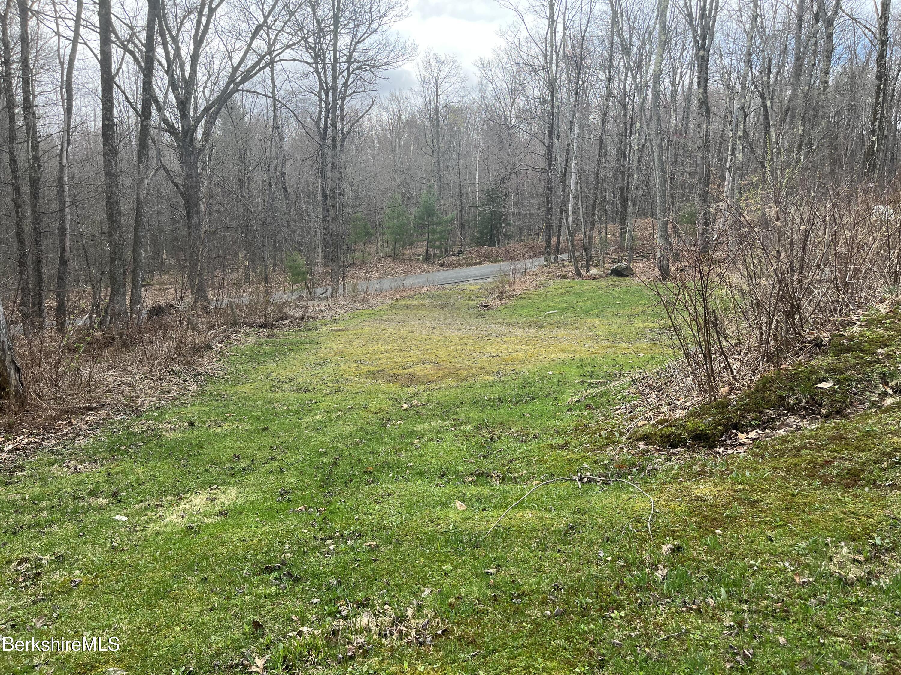 37 South South County Road North Adams, MA 01247 - Photo 2 of 8 2nd driveway
