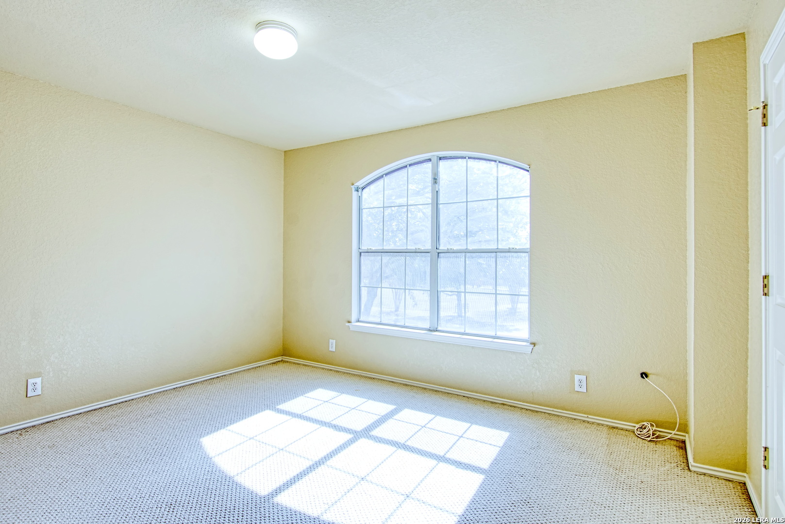 9008 Privilege Point Converse, TX 78109 - Photo 32 of 43