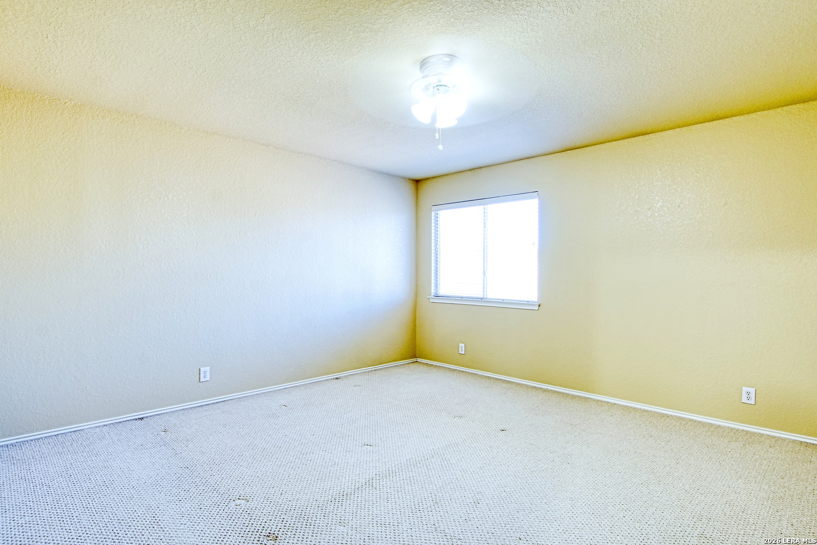 9008 Privilege Point Converse, TX 78109 - Photo 34 of 43