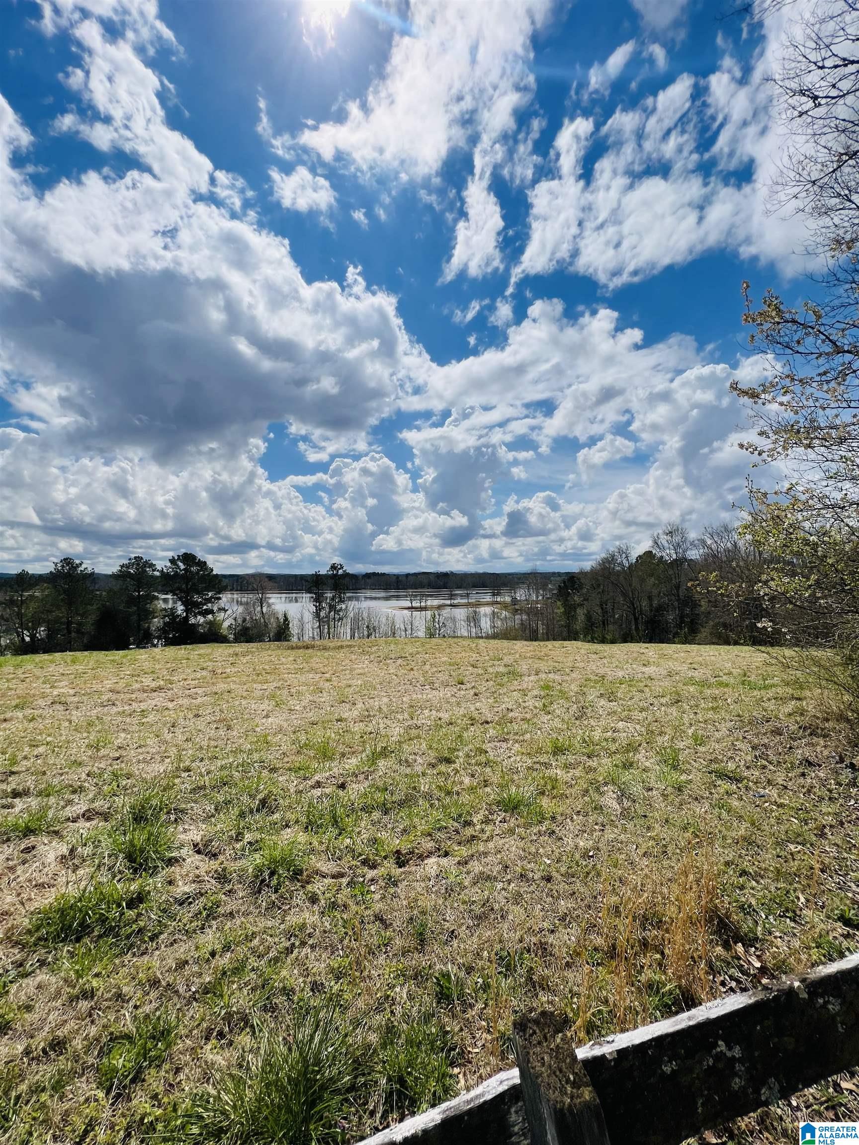 Stewart Road, Unit 8 Riverside, AL 35135 - Photo 4 of 7