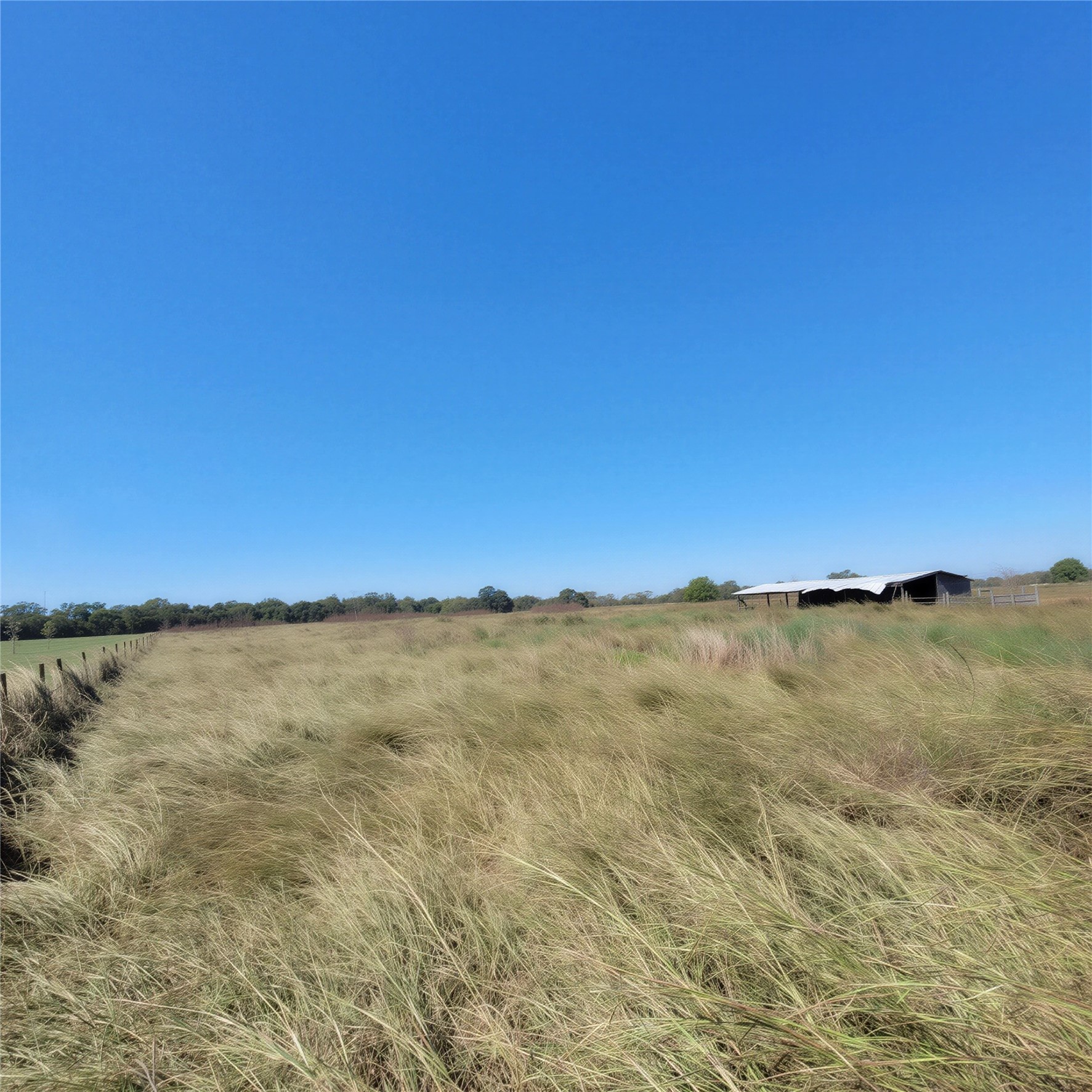 740 County Road 164 Boling, TX 77420 - Photo 13 of 16 a view of lake and mountain