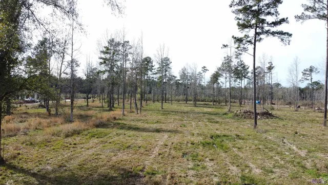 $110,000 | Lot 29 Tungoil Road, Greensburg, LA 70441