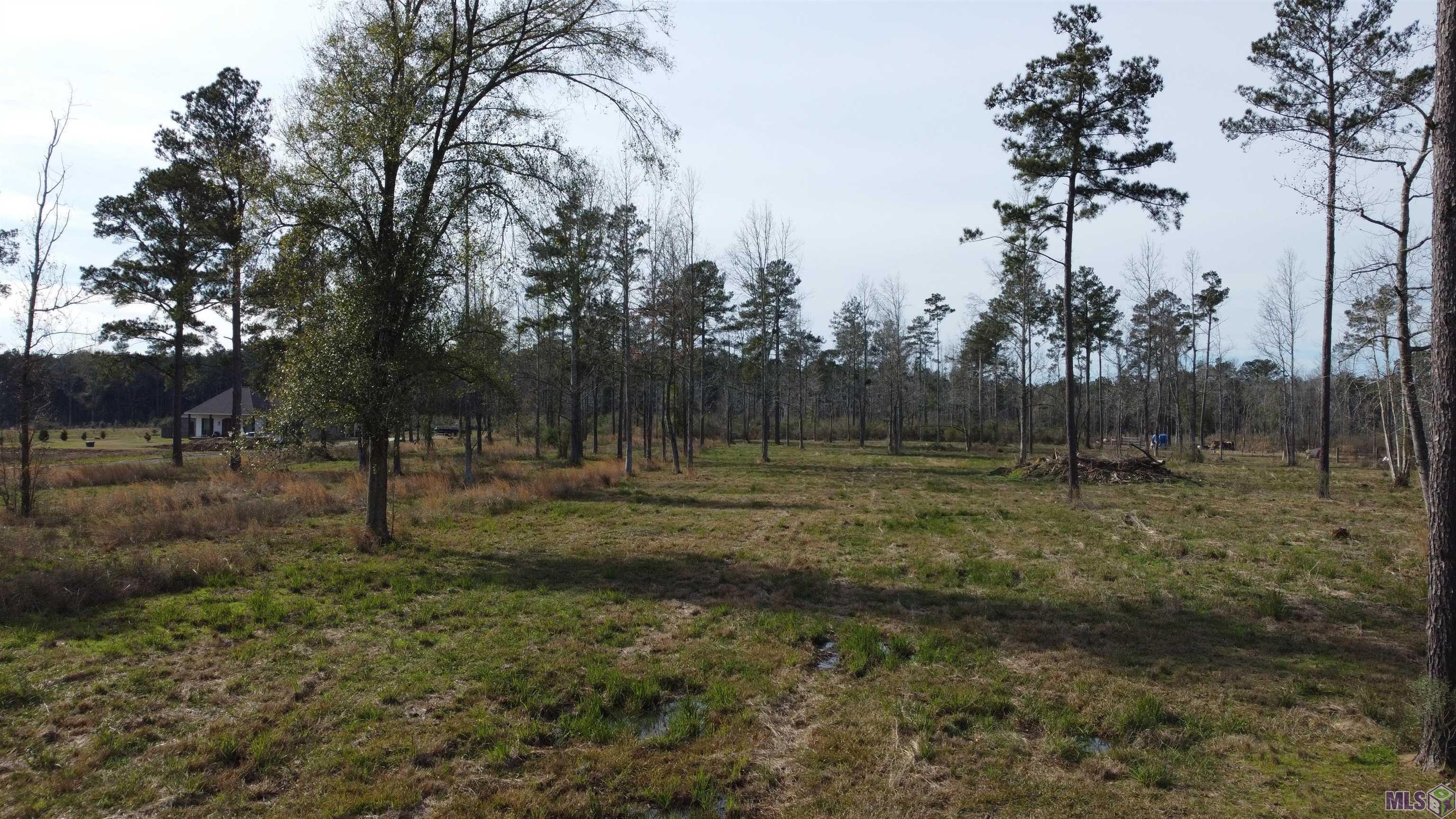 Lot 29 Tungoil Road Greensburg, LA 70441 - Photo 3 of 3