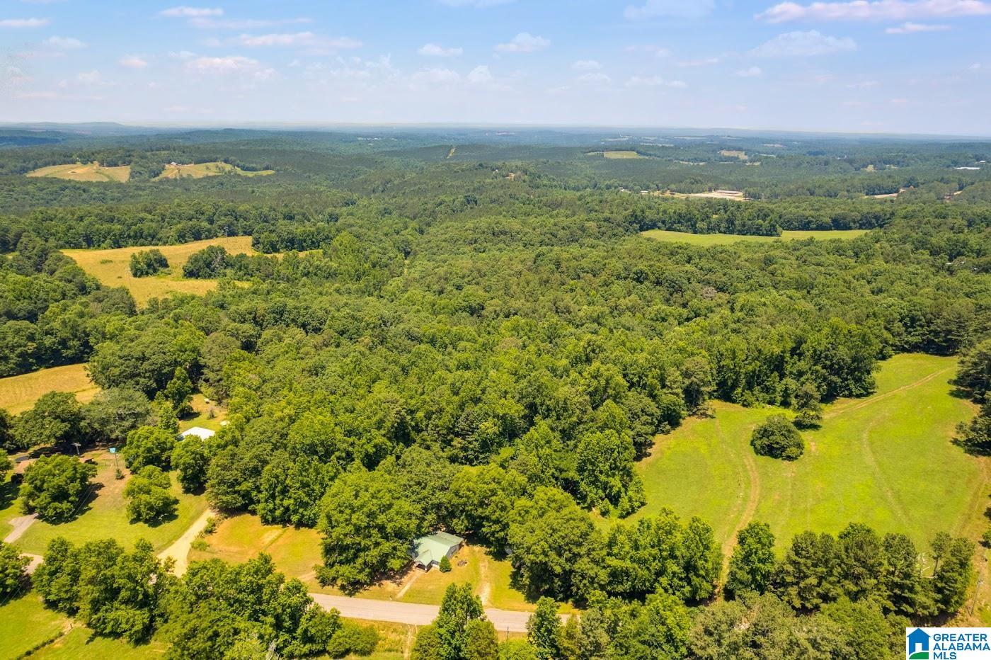 14791 County Road 10, Unit 45 ACRES Ranburne, AL 36273 - Photo 1 of 43