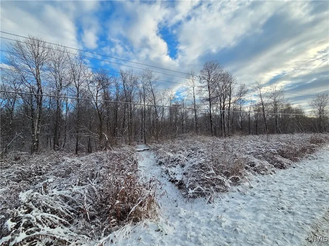 $129,000 | 42 Co Route, Carthage, NY 13619