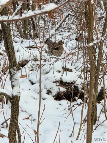 $129,000 | 42 Co Route, Carthage, NY 13619