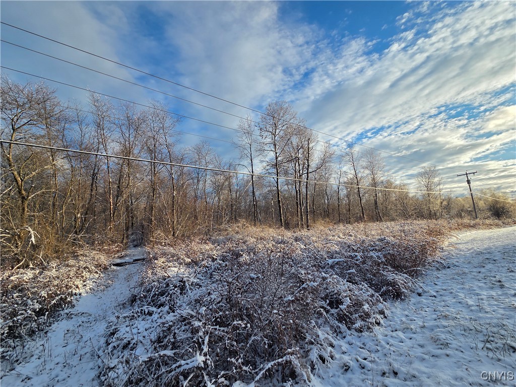 42 Co Route Carthage, NY 13619 - Photo 3 of 18