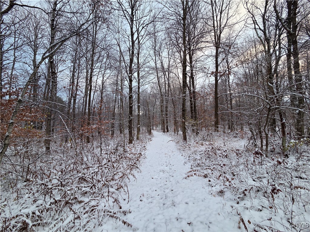 42 Co Route Carthage, NY 13619 - Photo 4 of 18