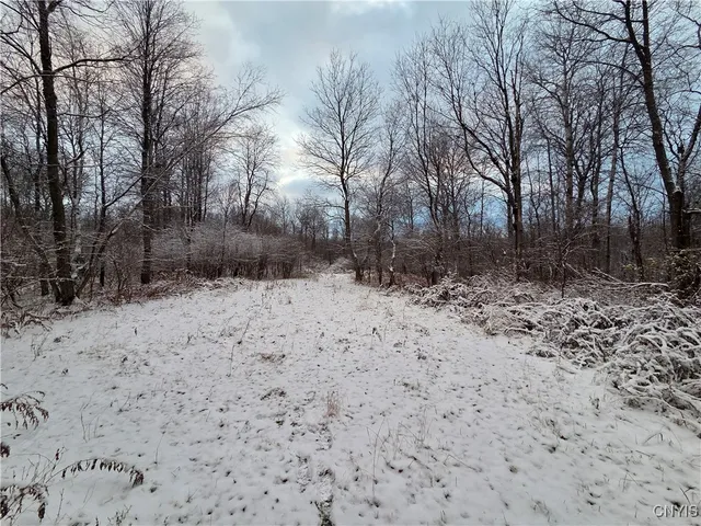 $129,000 | 42 Co Route, Carthage, NY 13619