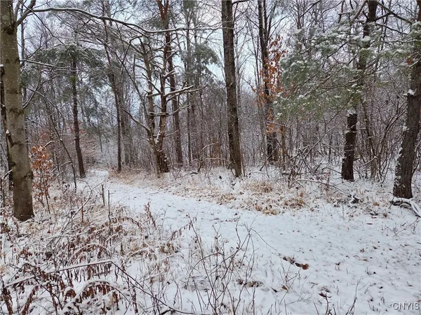 $129,000 | 42 Co Route, Carthage, NY 13619