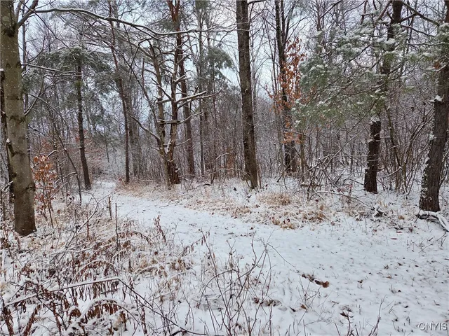 $129,000 | 42 Co Route, Carthage, NY 13619