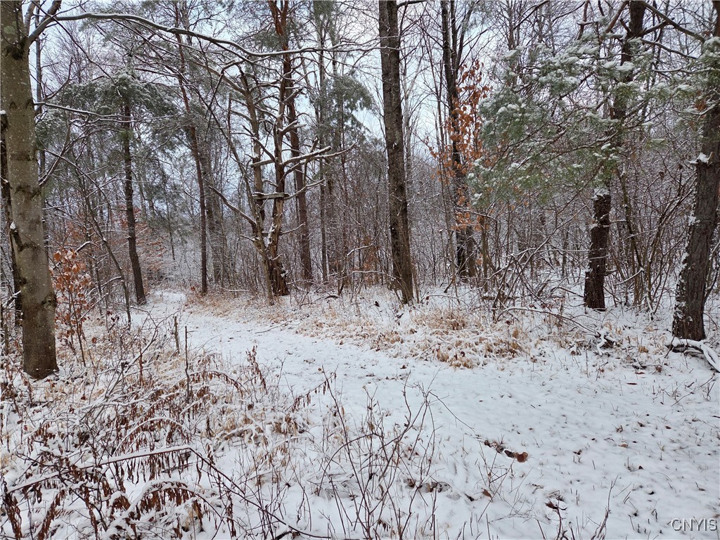 42 Co Route Carthage, NY 13619 - Photo 6 of 18