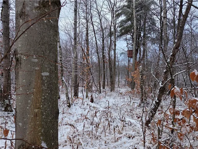 $129,000 | 42 Co Route, Carthage, NY 13619