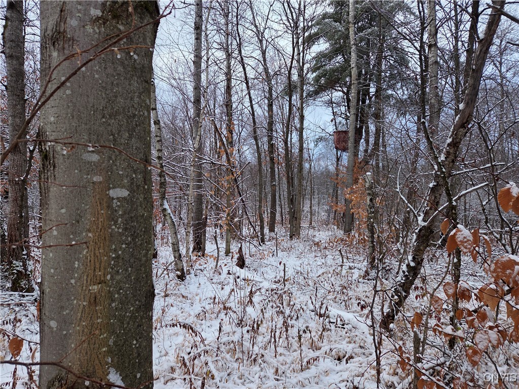 42 Co Route Carthage, NY 13619 - Photo 7 of 18