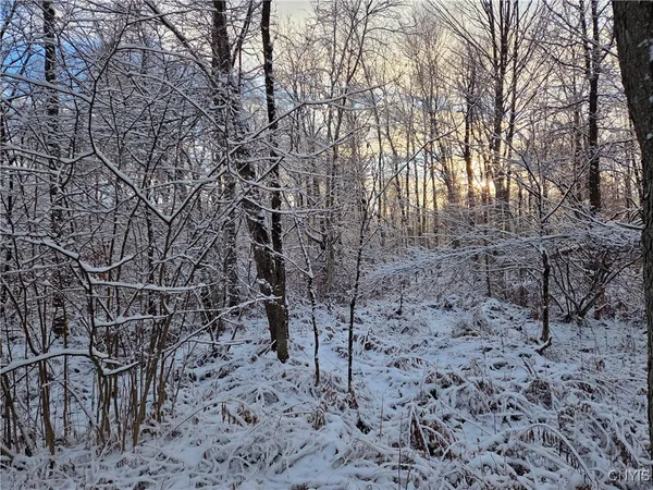 $129,000 | 42 Co Route, Carthage, NY 13619