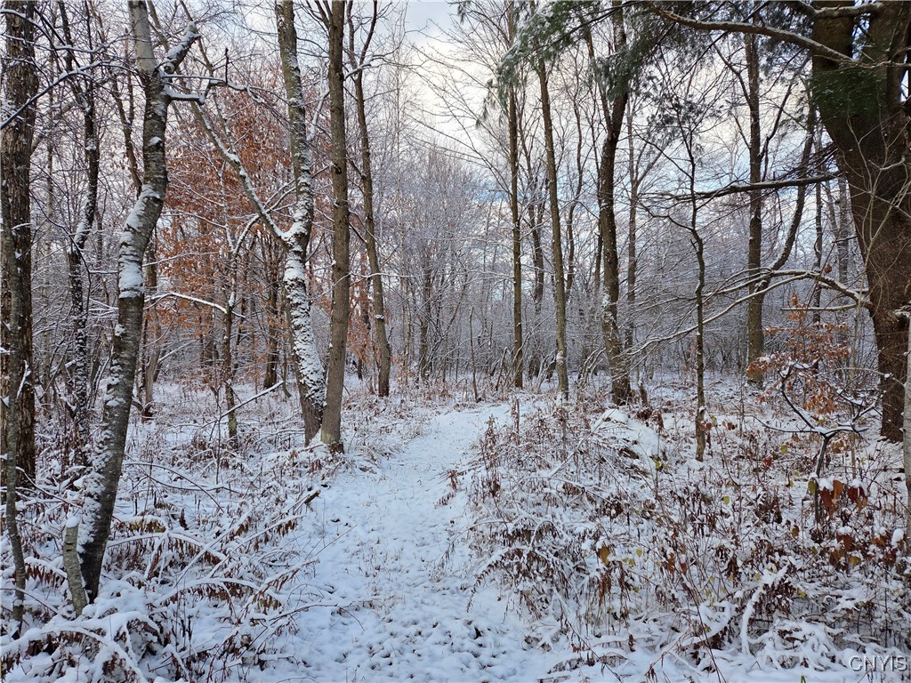 42 Co Route Carthage, NY 13619 - Photo 9 of 18