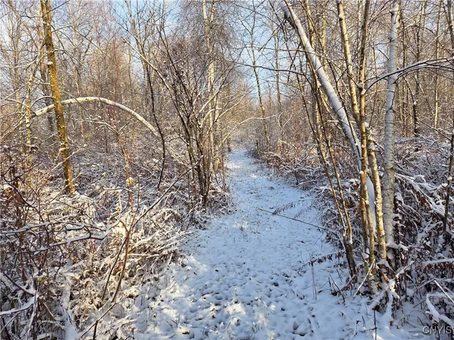 $129,000 | 42 Co Route, Carthage, NY 13619