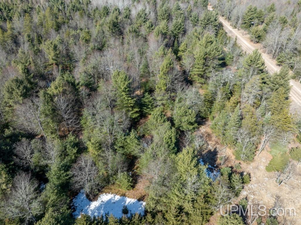 Tbd Dd Road Wetmore, MI 49895 - Photo 18 of 22