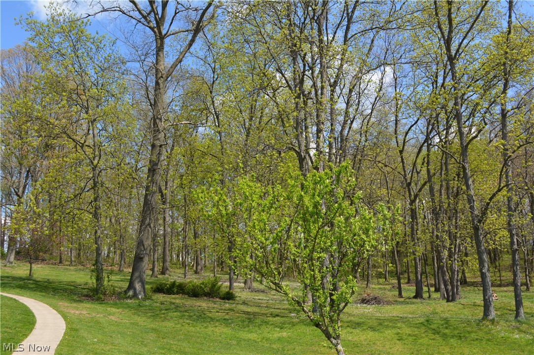2363 Tabor Ridge Road Northeast New Philadelphia, OH 44663 - Photo 10 of 42 Manicured lawn with a winding paved pathway leading into a wooded area