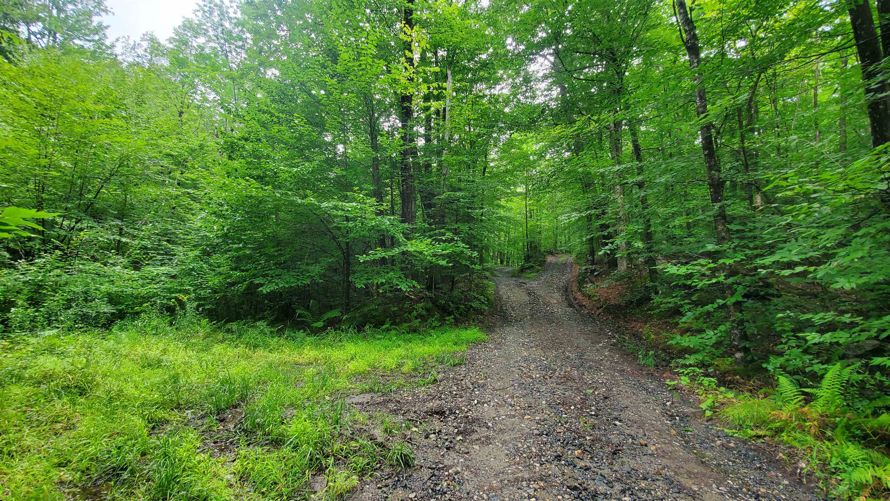 0 Manning Road Townshend, VT 05353 - Photo 11 of 18
