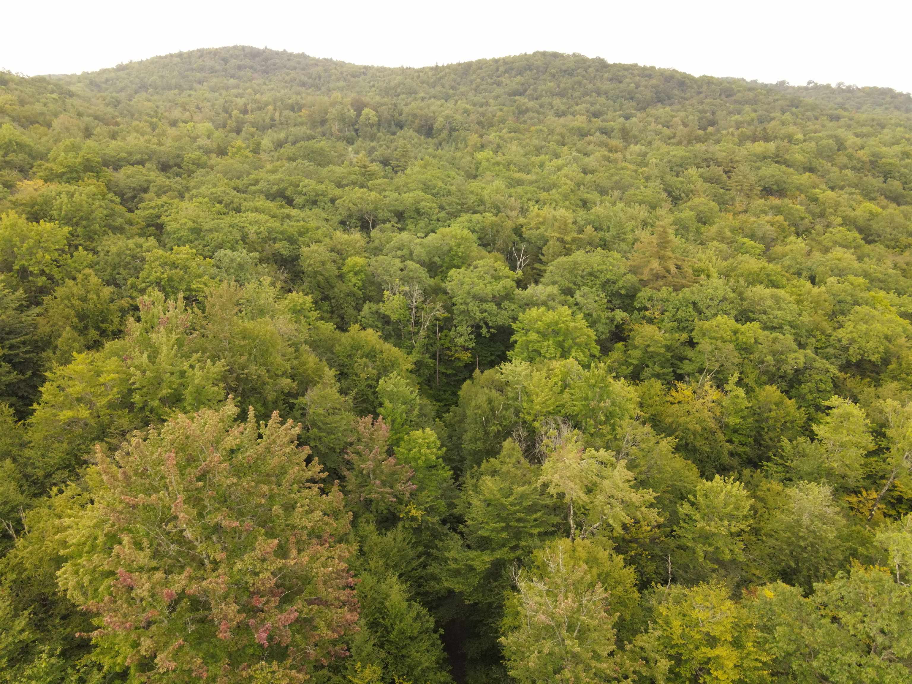 0 Manning Road Townshend, VT 05353 - Photo 14 of 18