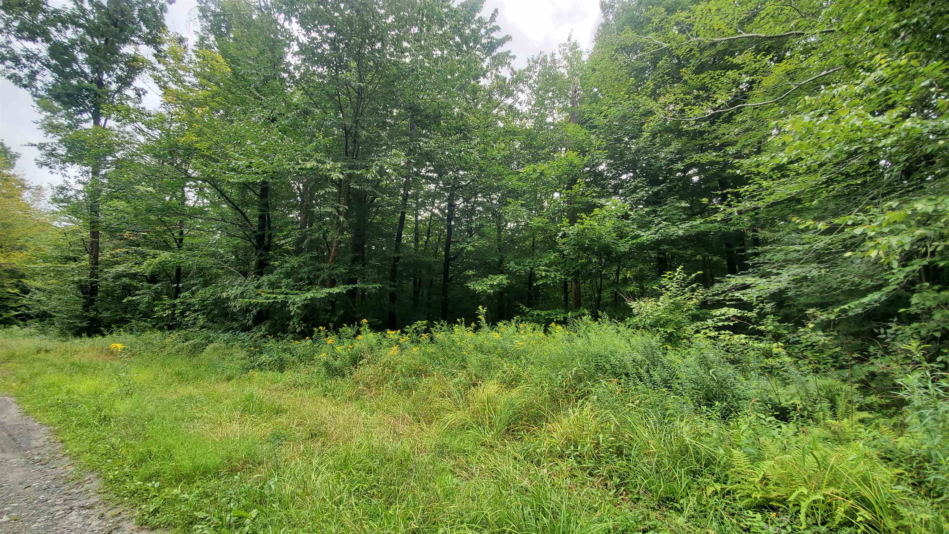 0 Manning Road Townshend, VT 05353 - Photo 4 of 18