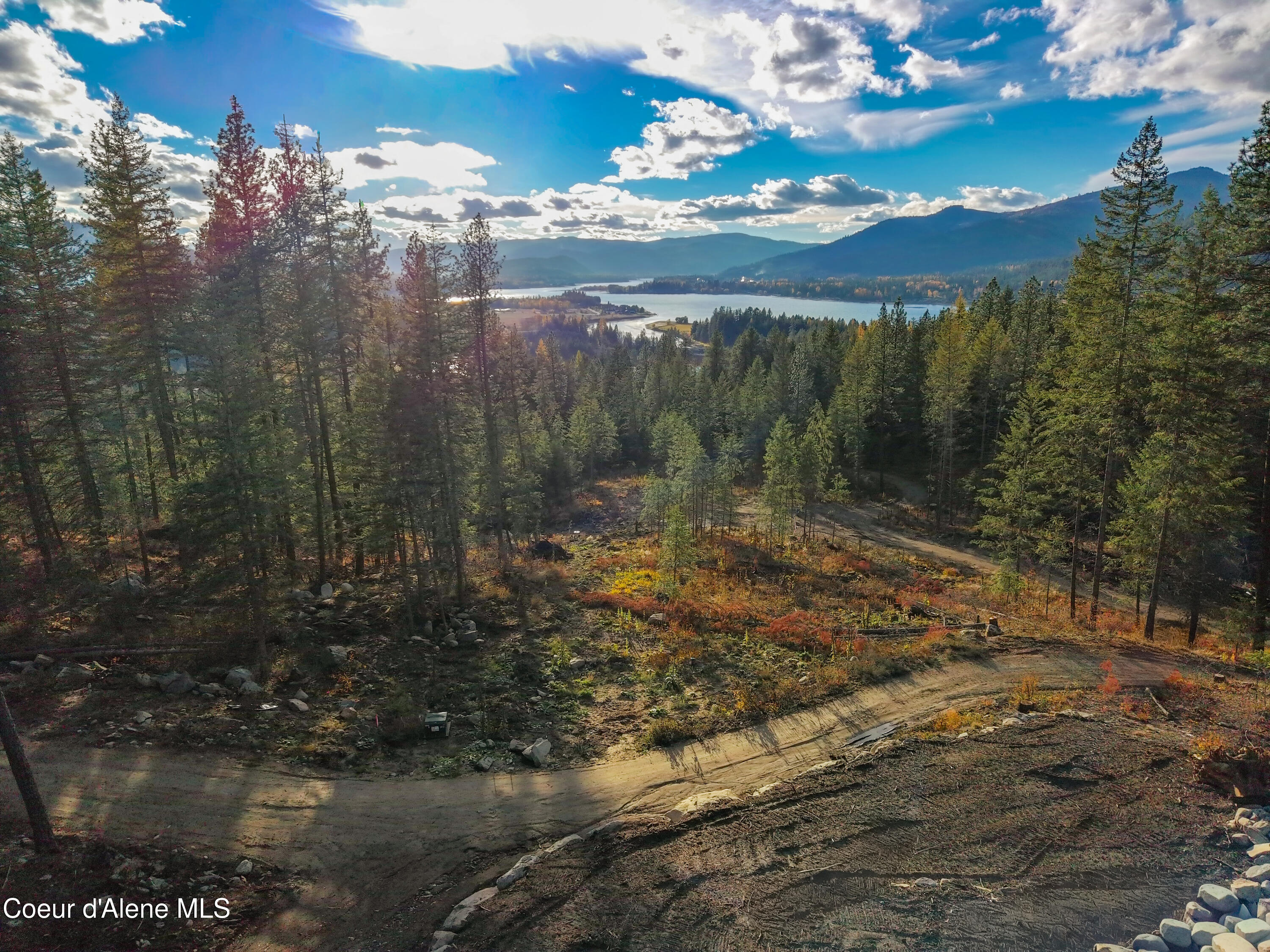 320 Towering Pines Drive Sagle, ID 83860 - Photo 8 of 21 MAX_1233088811