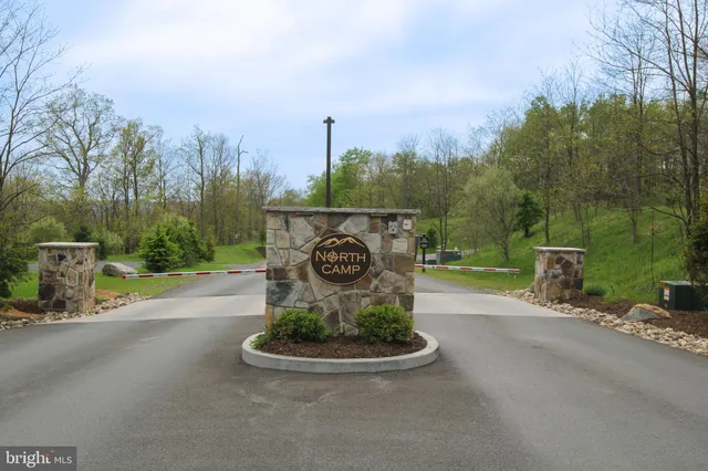 a view of a park with plants and a bench