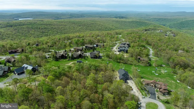 a view of a green field with lots of trees