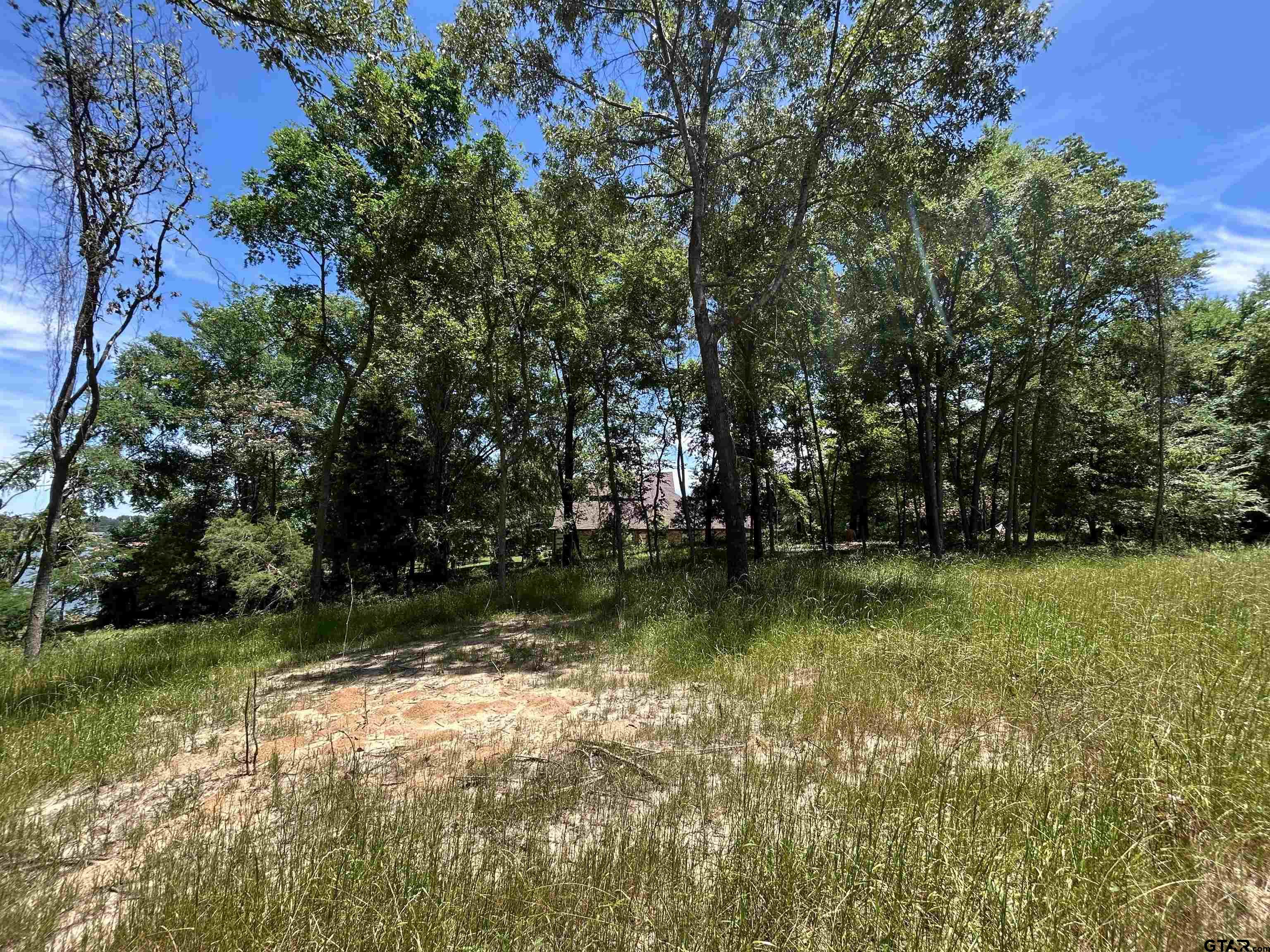 Lot Tr Stevenson Road Frankston, TX 75763 - Photo 20 of 38
