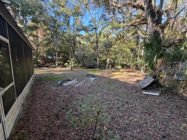 a view of a yard with plants and trees