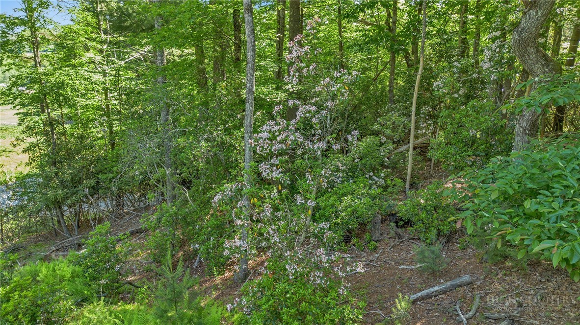 324 Hidden Spring Road West Jefferson, NC 28694 - Photo 37 of 38