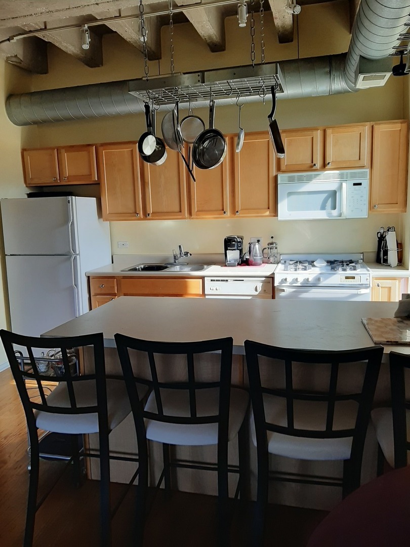 811 South Lytle Street, Unit 403 Chicago, IL 60607 - Photo 11 of 17