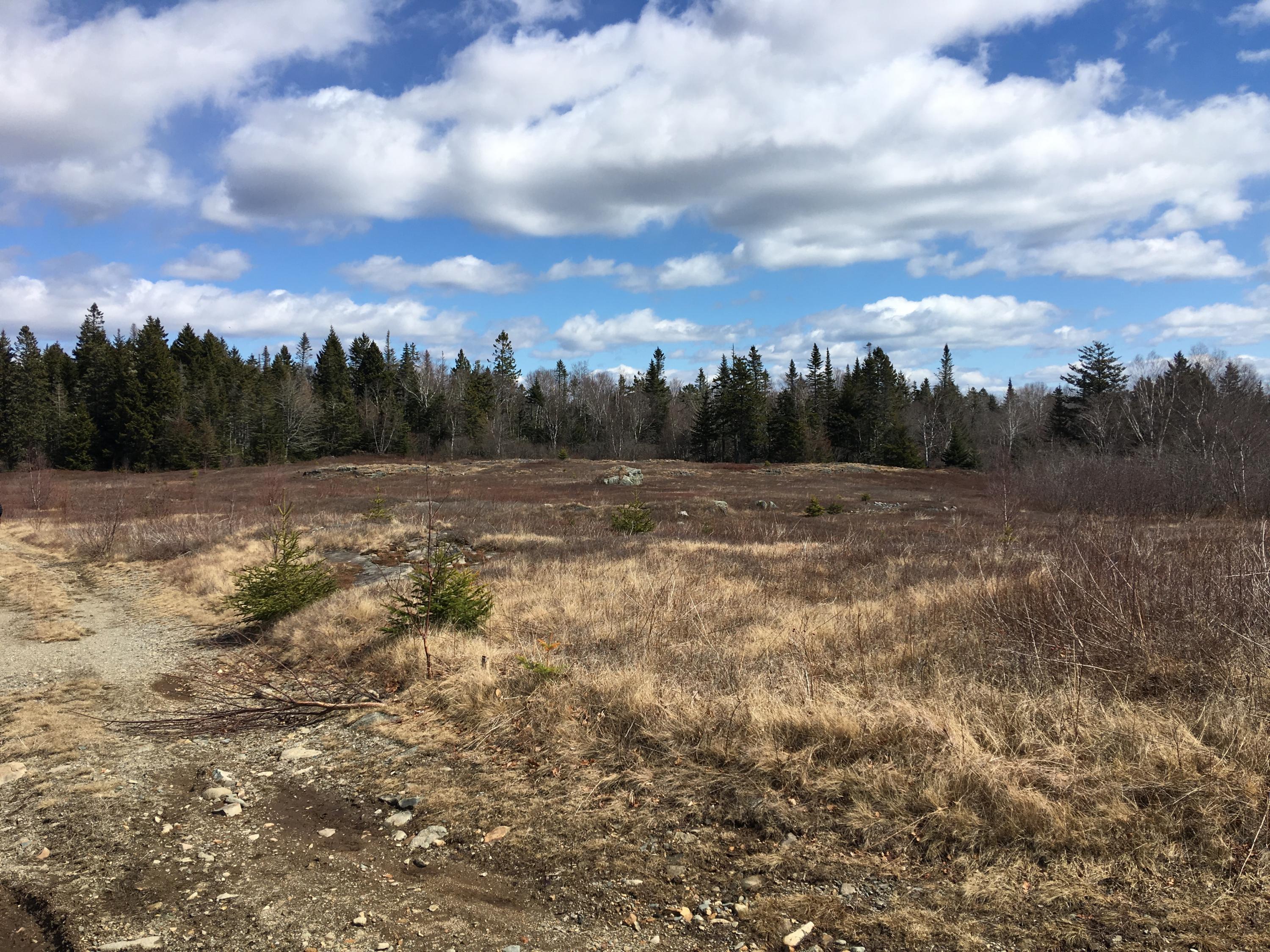 112 Basin Road Addison, ME 04606 - Photo 13 of 29 IMG_3302