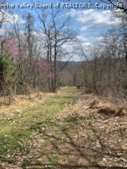 4 Hidden Farms Road Poca, WV 25159 - Photo 15 of 40 Gallery Image 15